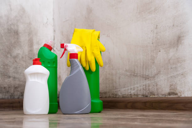 Best Mold Odor Removal Services  in Martinez, CA